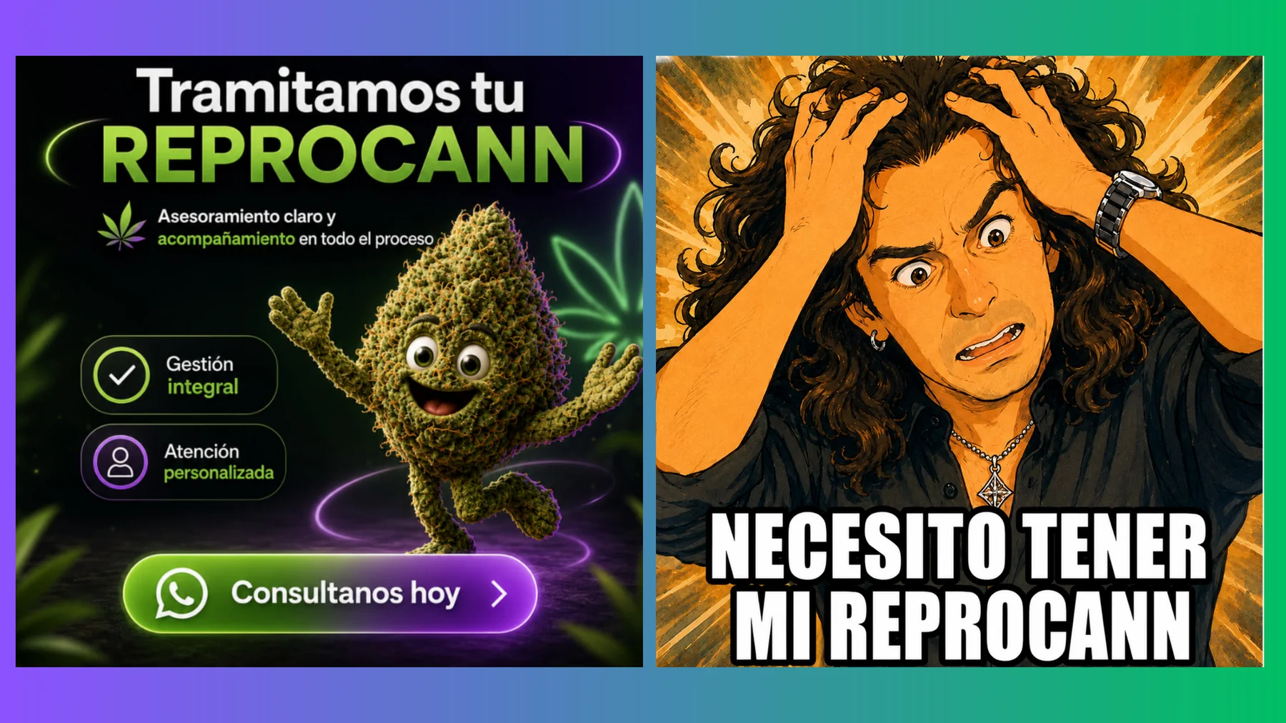 Tramitamos tu REPROCANN con gestión integral y atención personalizada