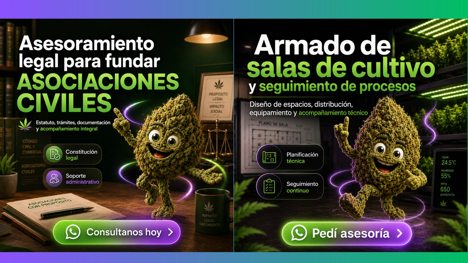 Asesoramiento legal para asociaciones civiles y armado de salas de cultivo